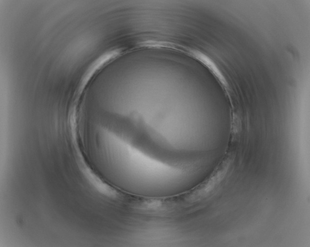 X0000114101098200910191637