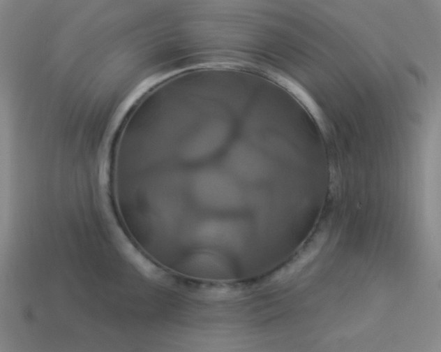 X0000114101099200910191637