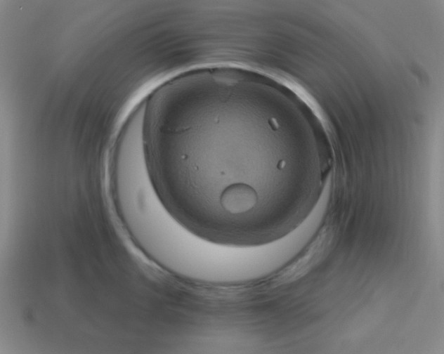 X0000114101101200910191637