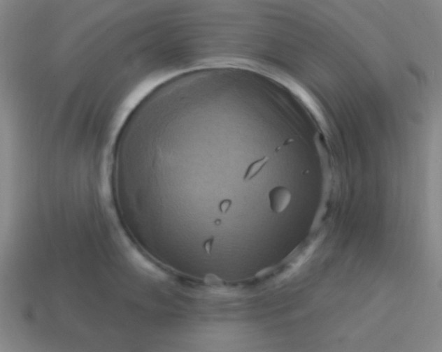 X0000114101102200910191637