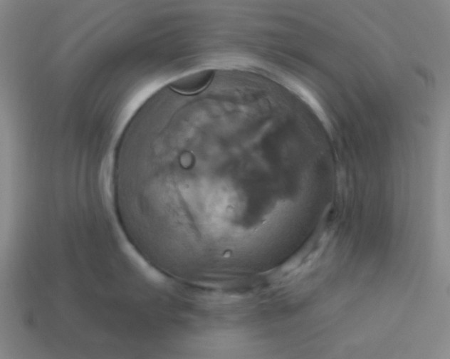 X0000114101103200910191637