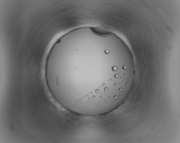 X0000114101104200910191637