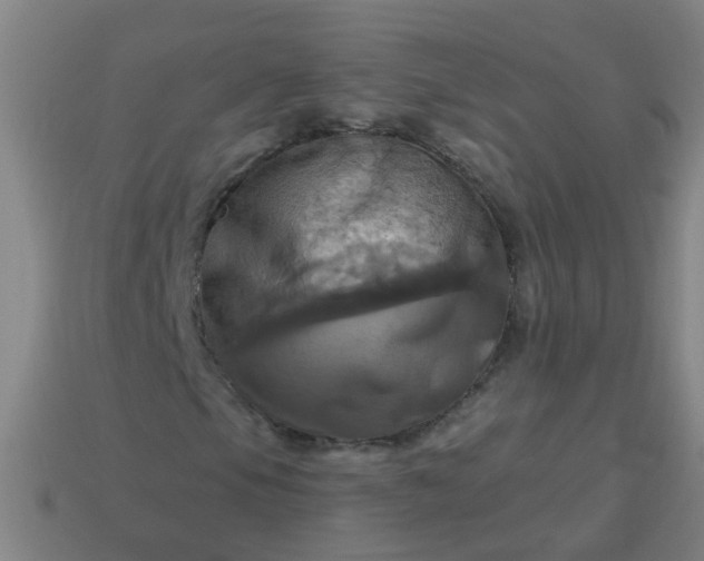 X0000114101105200910191636