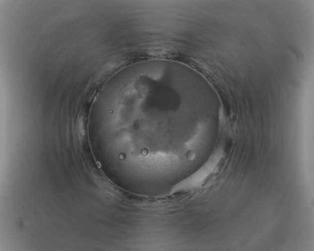 X0000114101106200910191636