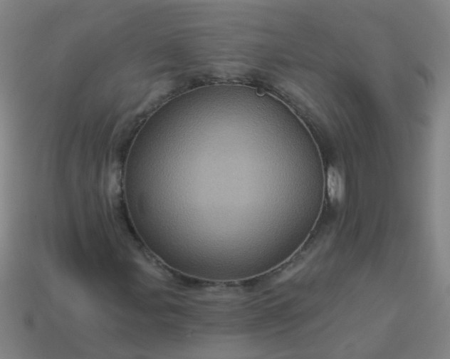 X0000114101107200910191636