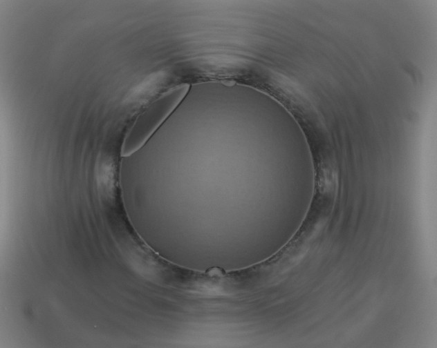 X0000114101108200910191636