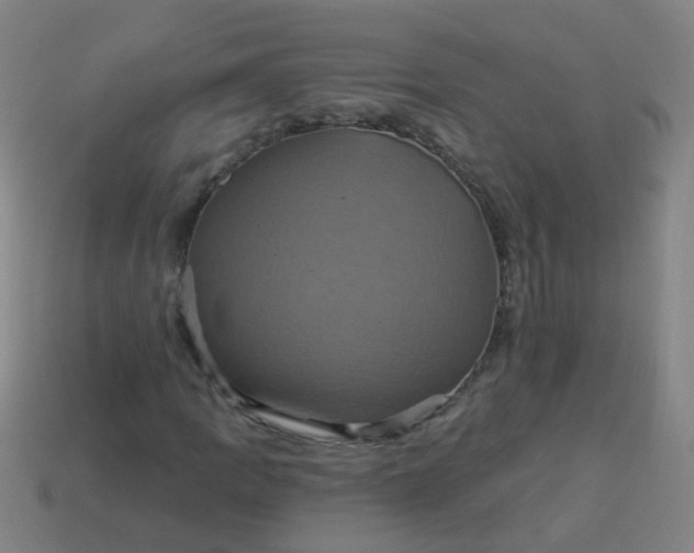 X0000114101109200910191636