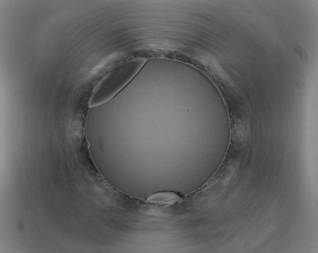 X0000114101110200910191636