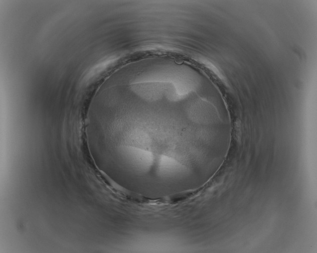 X0000114101111200910191636