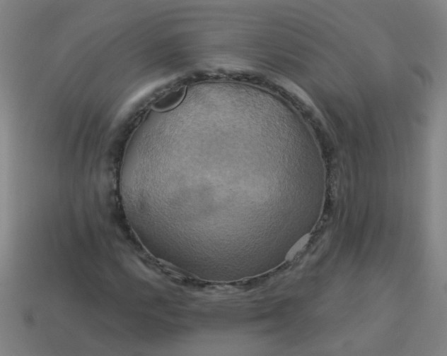 X0000114101112200910191636