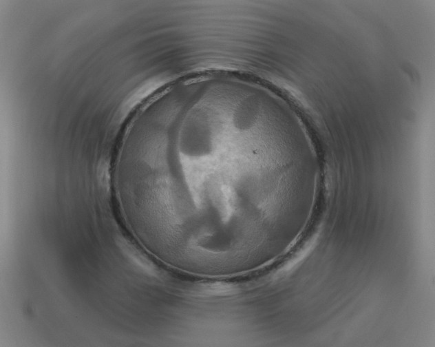 X0000114101113200910191636