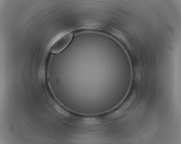 X0000114101114200910191636