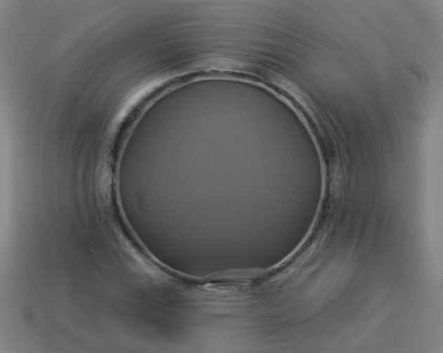 X0000114101115200910191636