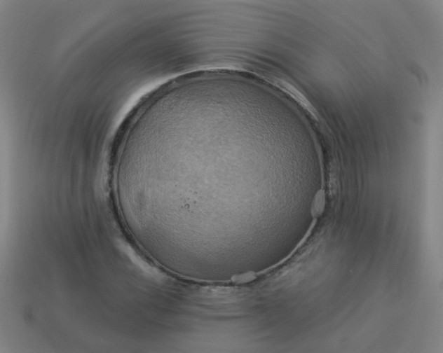 X0000114101116200910191636