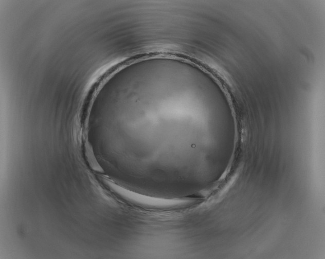 X0000114101117200910191636