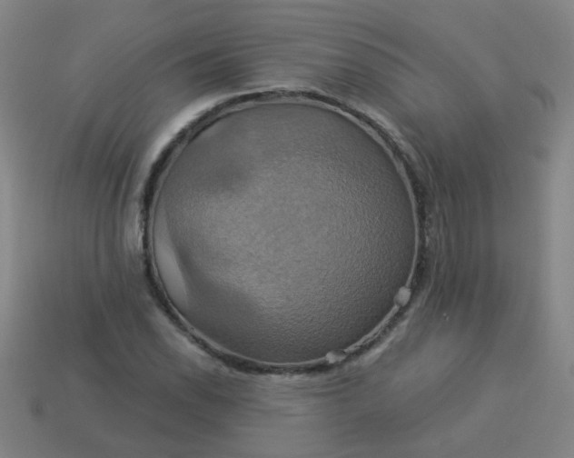 X0000114101118200910191636