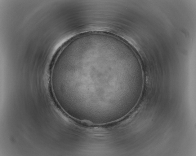 X0000114101119200910191636