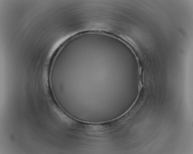 X0000114101120200910191636