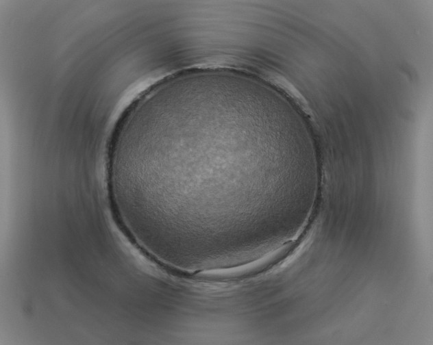 X0000114101122200910191637