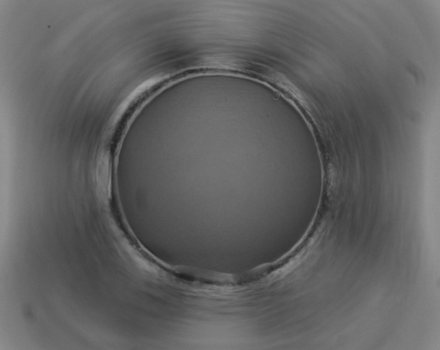 X0000114101123200910191637