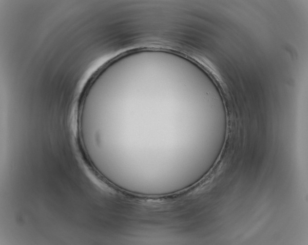 X0000114101128200910191637