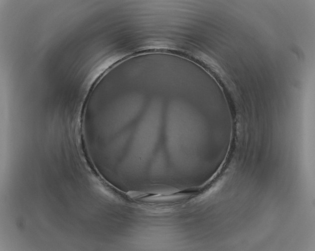 X0000114101129200910191637