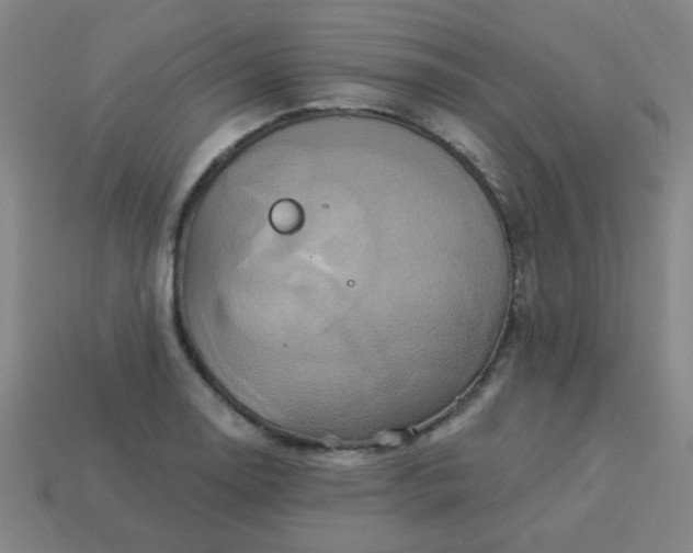 X0000114101130200910191637