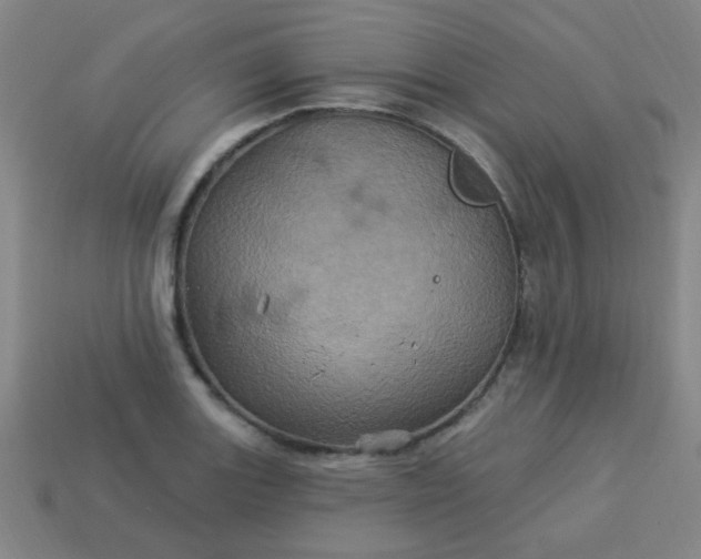 X0000114101131200910191637