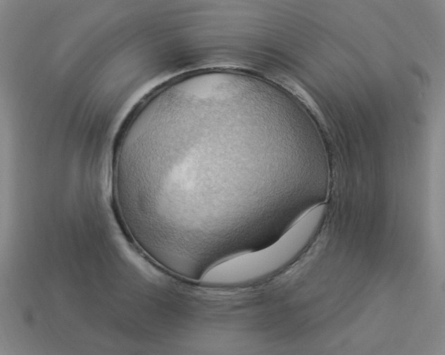 X0000114101132200910191637