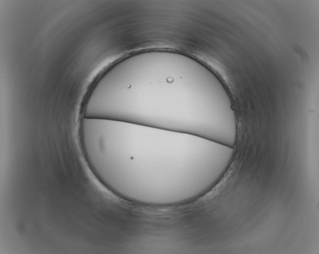 X0000114101135200910191637