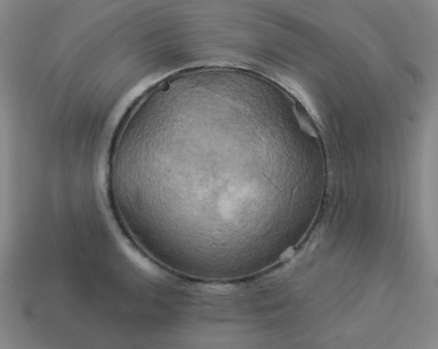 X0000114101136200910191637