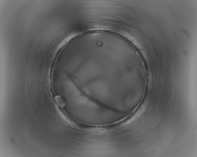 X0000114101137200910191637