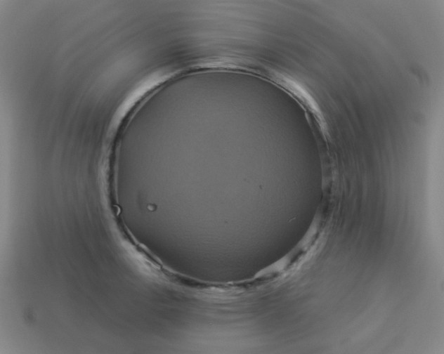 X0000114101138200910191637