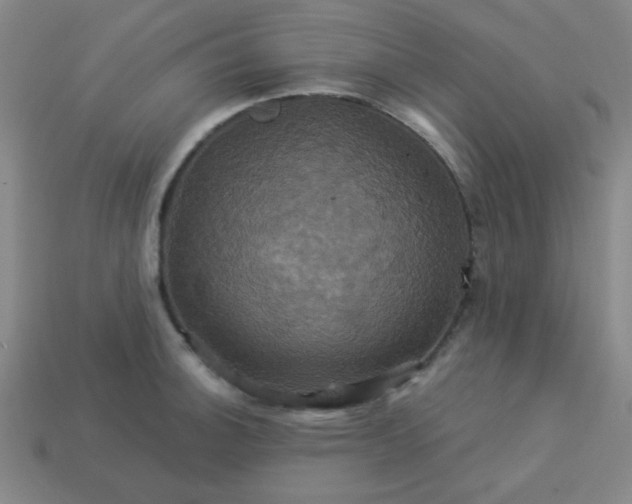 X0000114101140200910191637