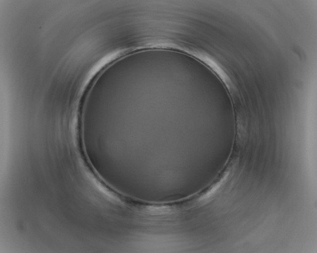 X0000114101142200910191637