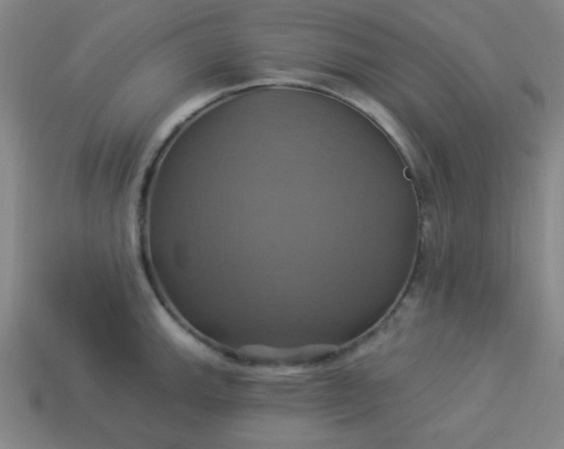 X0000114101143200910191637