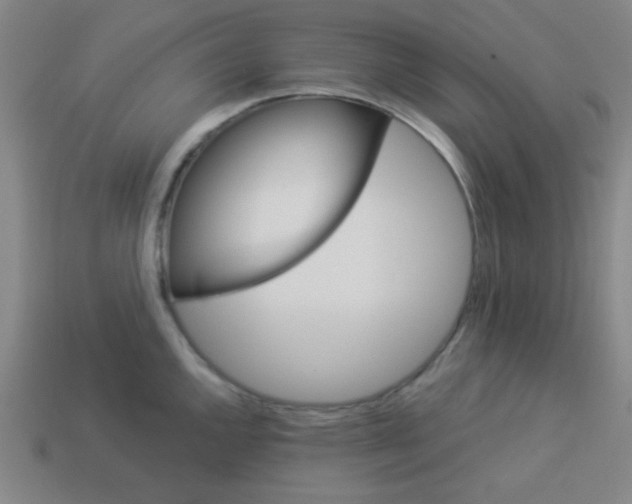 X0000114101144200910191637