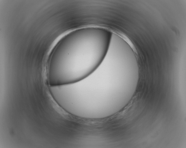 X0000114101148200910191637