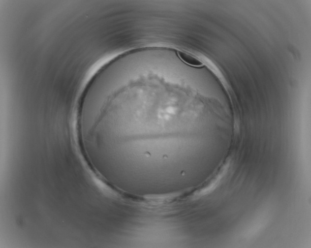 X0000114101149200910191637