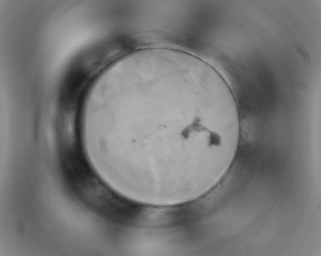 X0000114101150200910191637