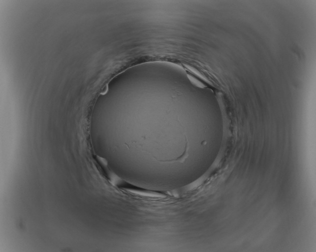 X0000114101153200910191636