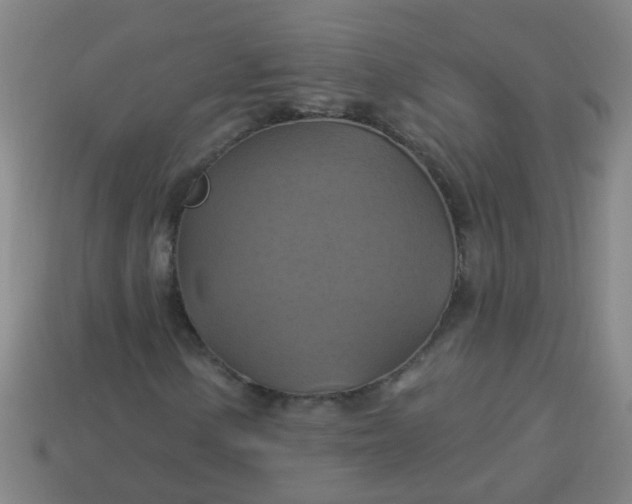 X0000114101154200910191636