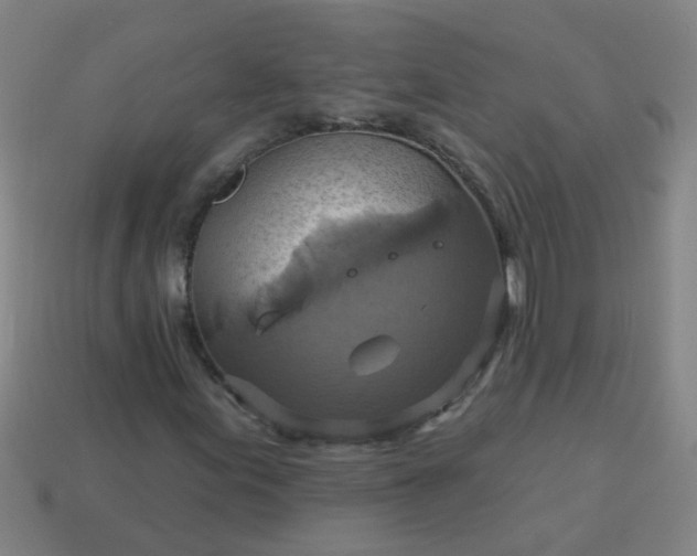 X0000114101155200910191636