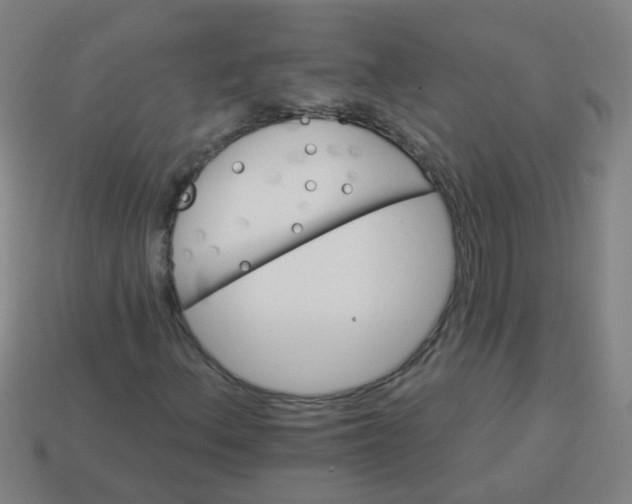 X0000114101156200910191636