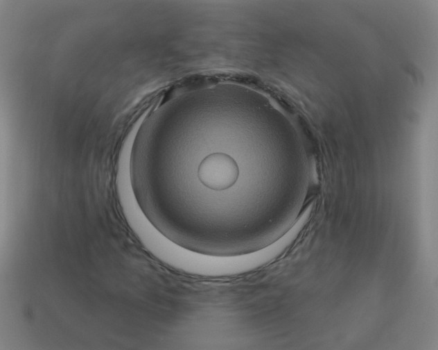 X0000114101157200910191636