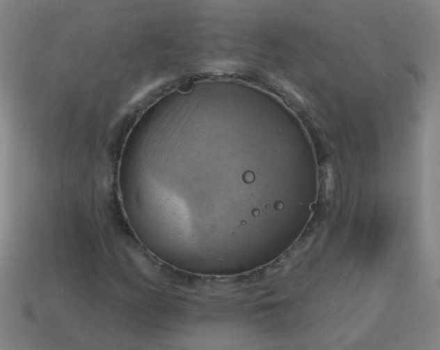 X0000114101158200910191636