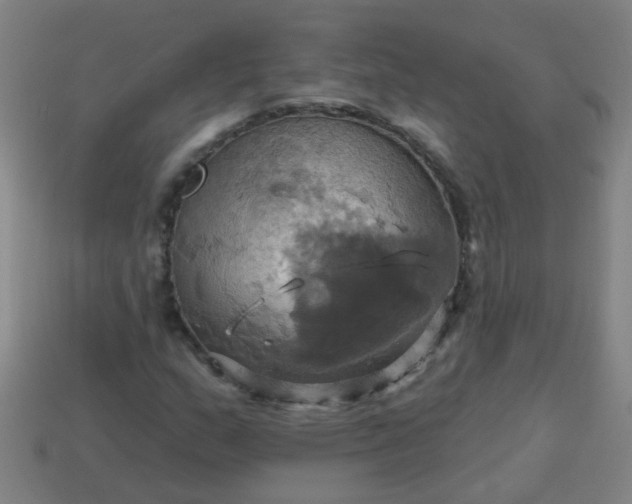 X0000114101159200910191636