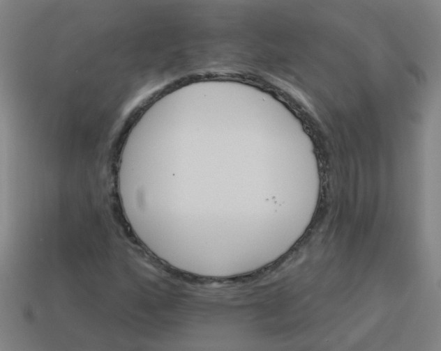 X0000114101160200910191636