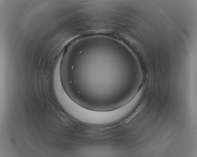 X0000114101161200910191636