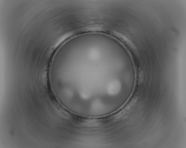 X0000114101162200910191636